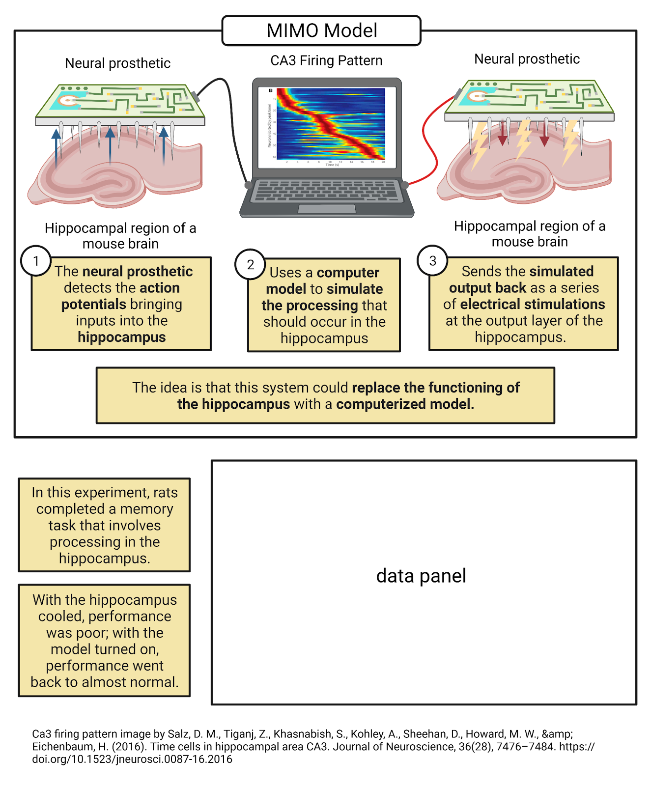 Computational neuroscientists have developed an artificial hippocampus.