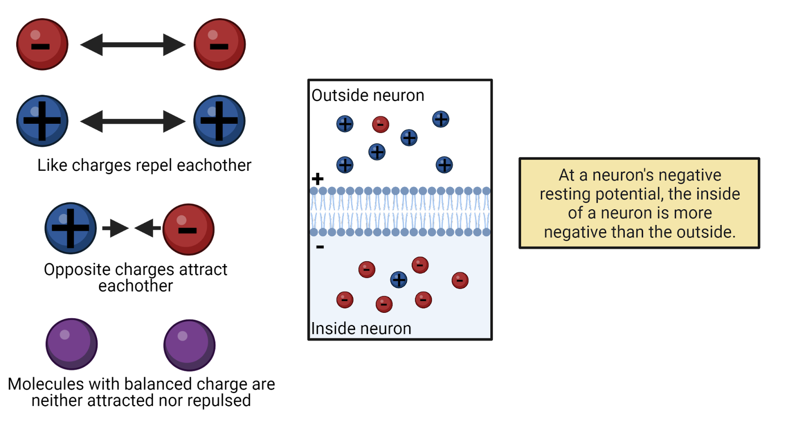 Electrostatic force.