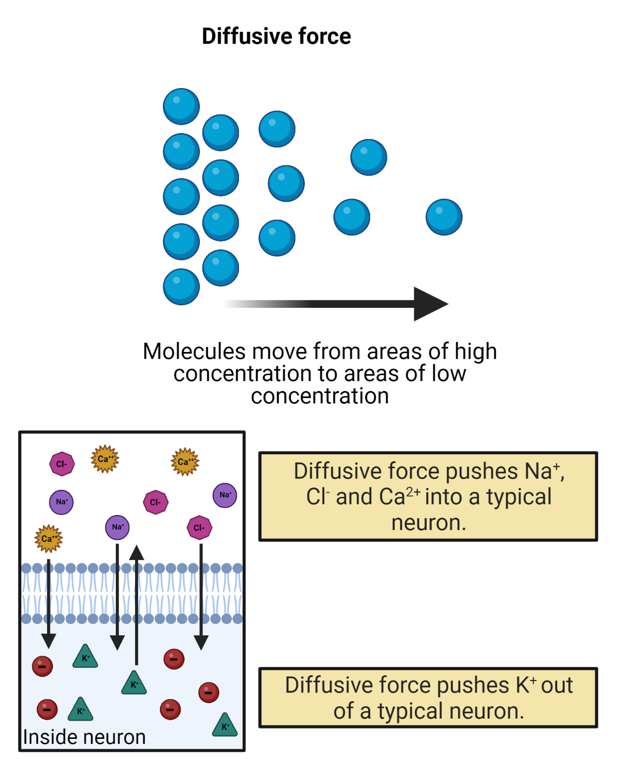 Diffusion.