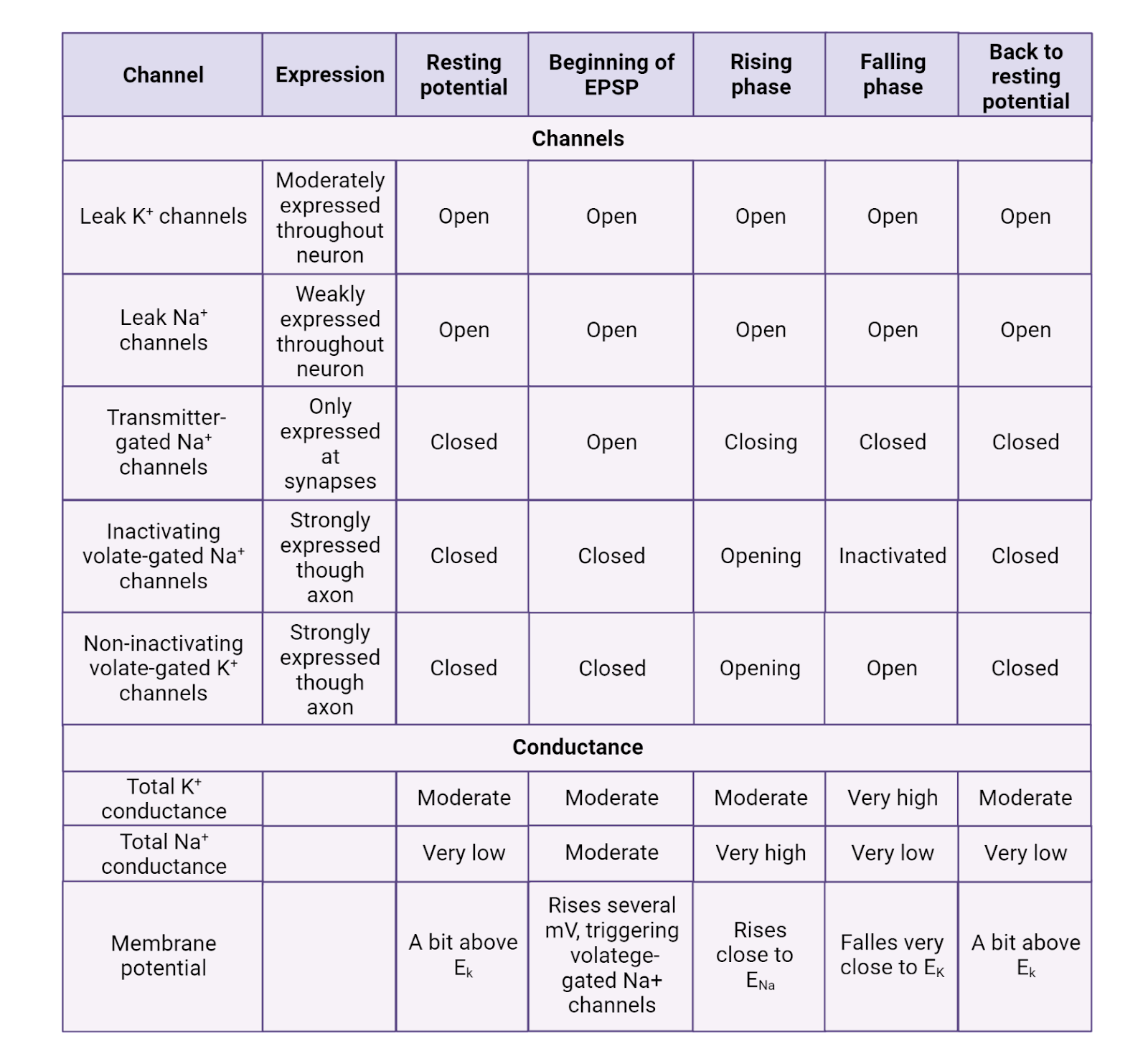 Channels and conductances.